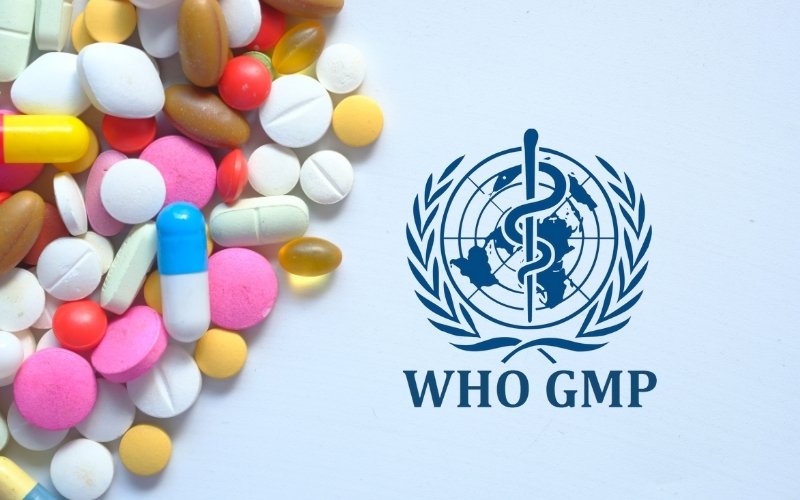 How to Verify if a Pharma Manufacturer is WHO-GMP Certified image
