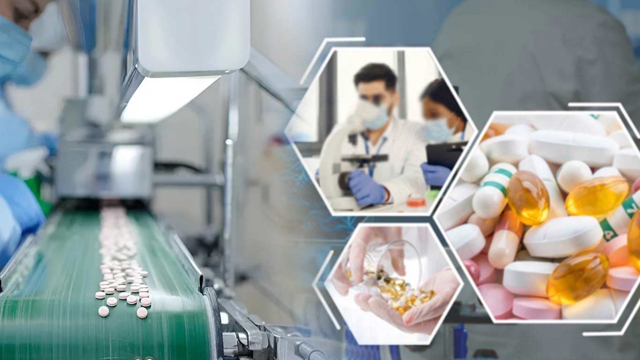 Impact of Government Policies on Pharma Manufacturing 2nd image