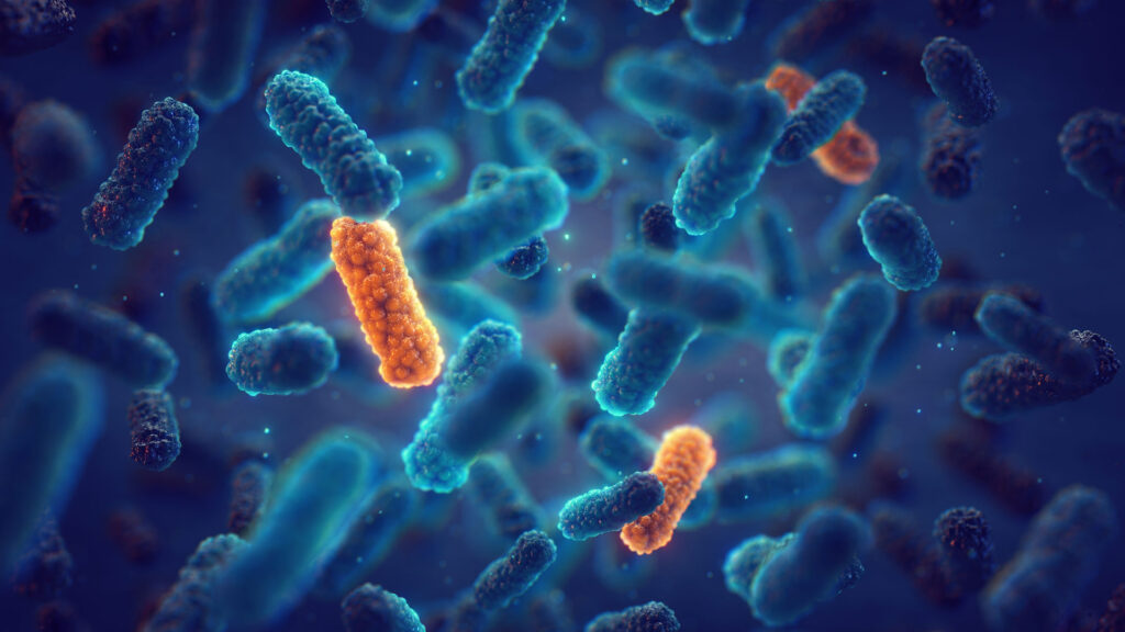 Anti Fungal-image
